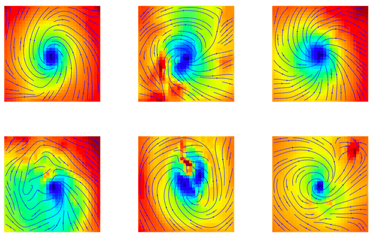 Images correctly identified as tropical cyclones by machine learning. From: Liu et. al, 2016.