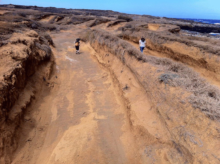 Dunes in Hawaii eroded by wind. Photo: Wiki Commons