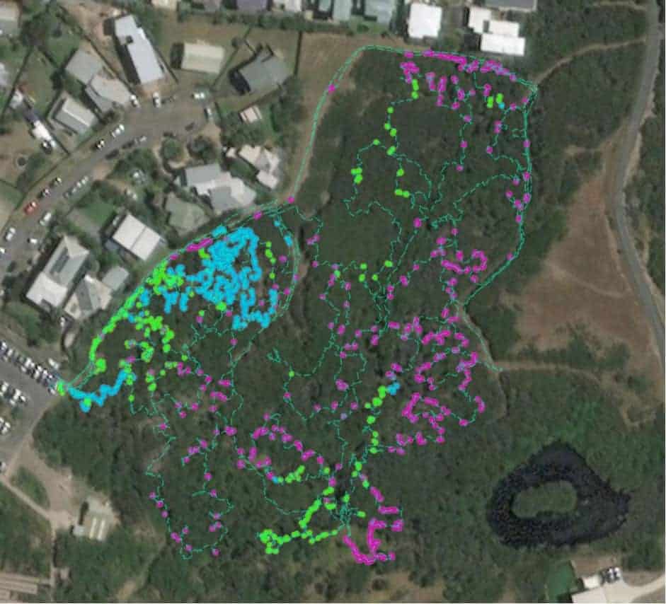 An example of STA logger data in a township bushland reserve during the beta testing phase in late 2019. Map: Harley Schinagl