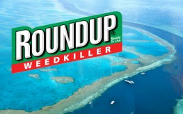 roundup