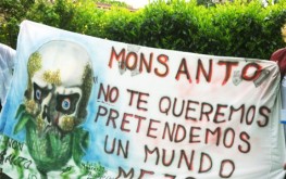 gmo protest