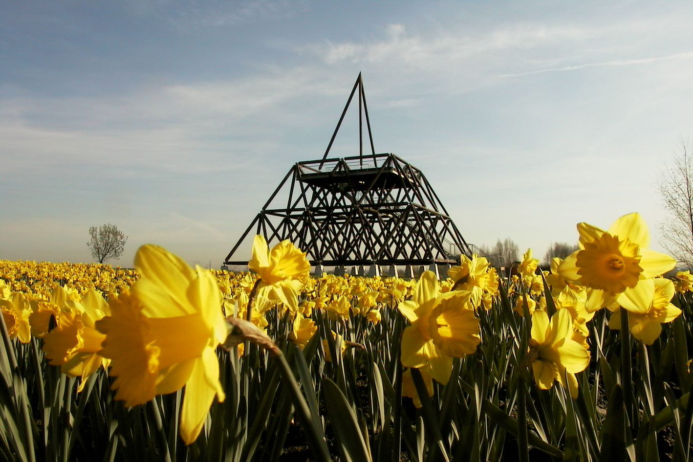 Der Spurwerkturm von Jan Bormann auf der Halde Brockenscheid. | Foto: Stadt Waltrop