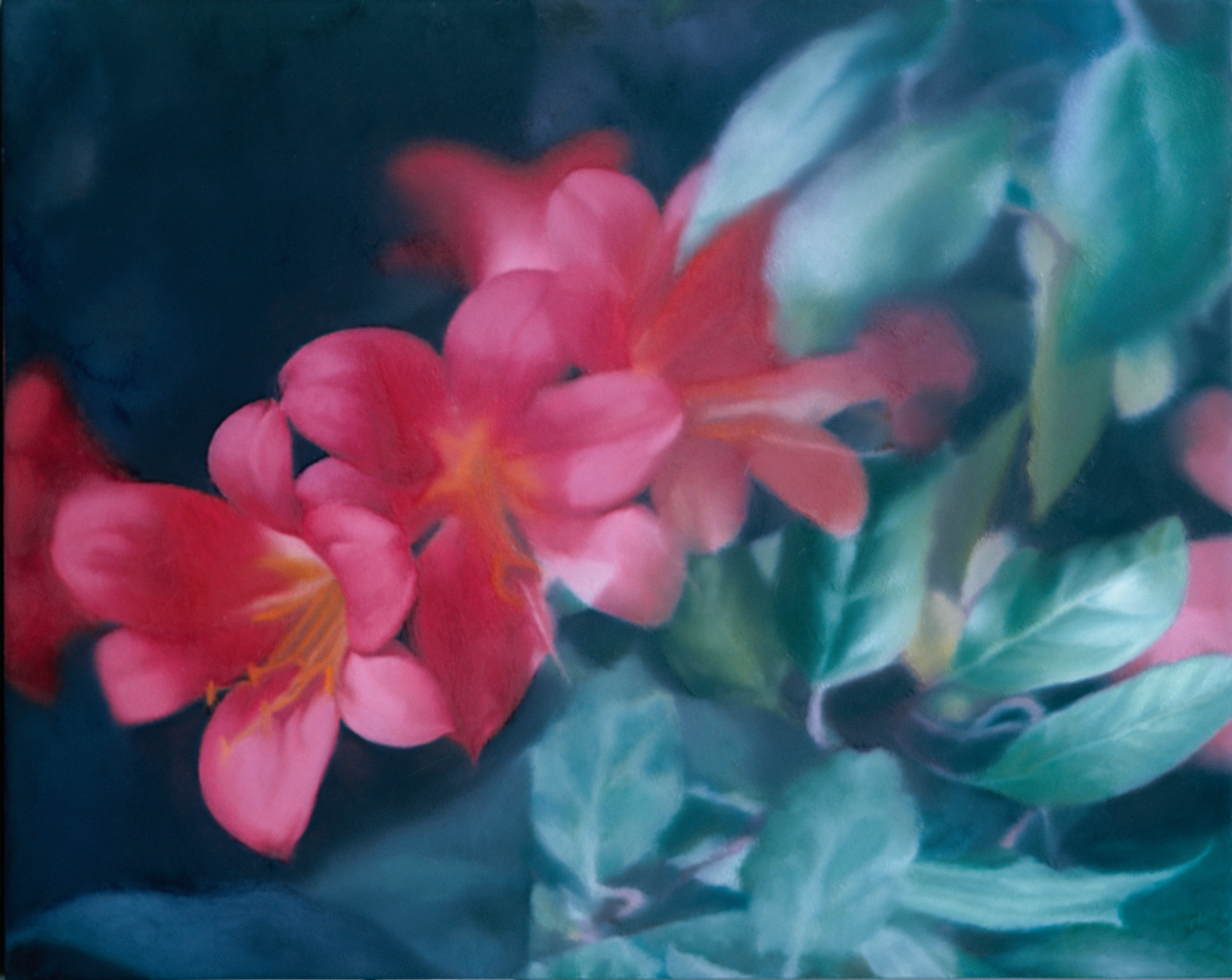 Gerhard Richter: „Blumen“, 1977, Privatsammlung | @ Gerhard Richter