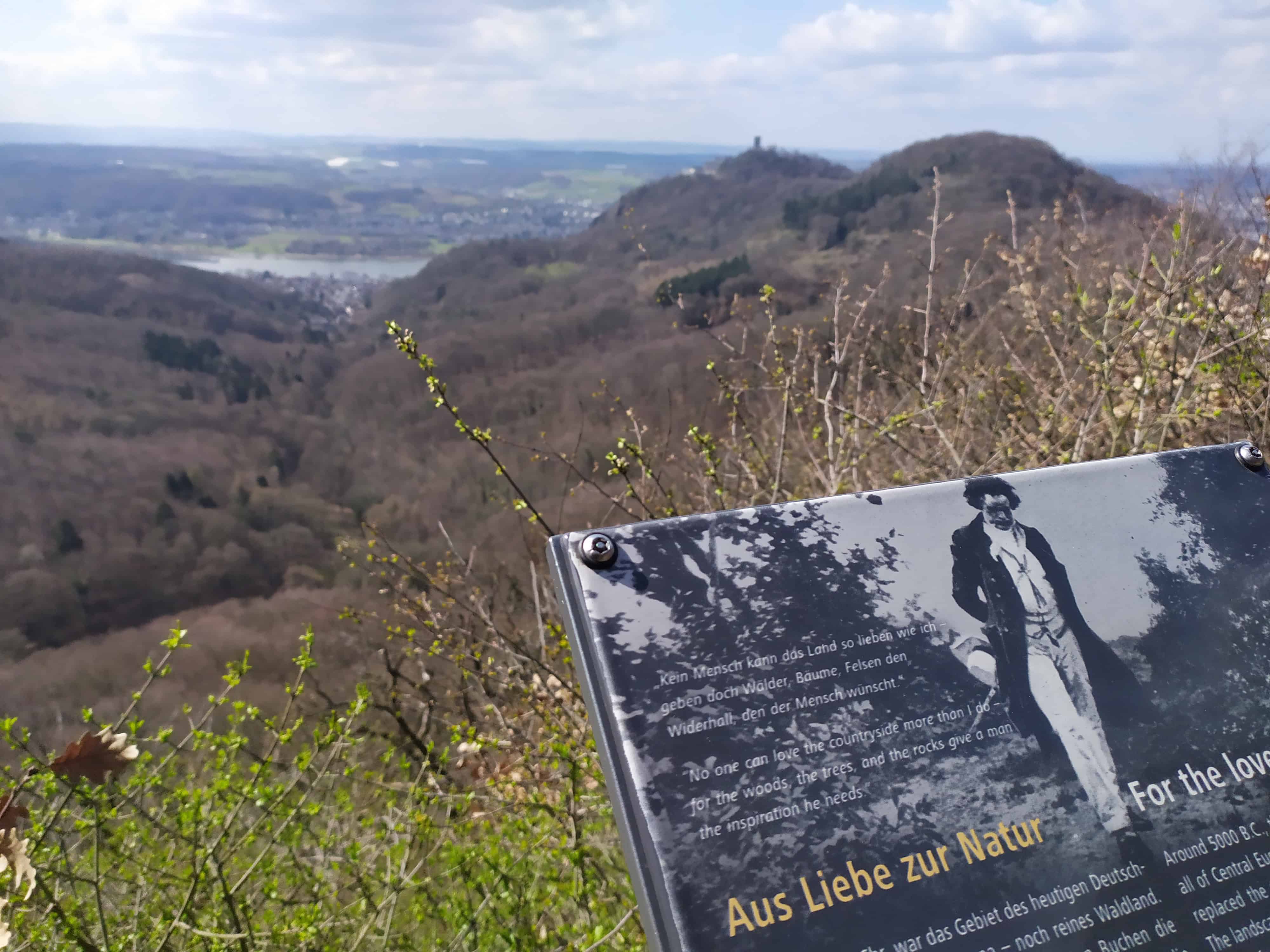 Der Beethoven-Wanderweg führt durchs Siebengebirge. | Foto: Max Hulisz