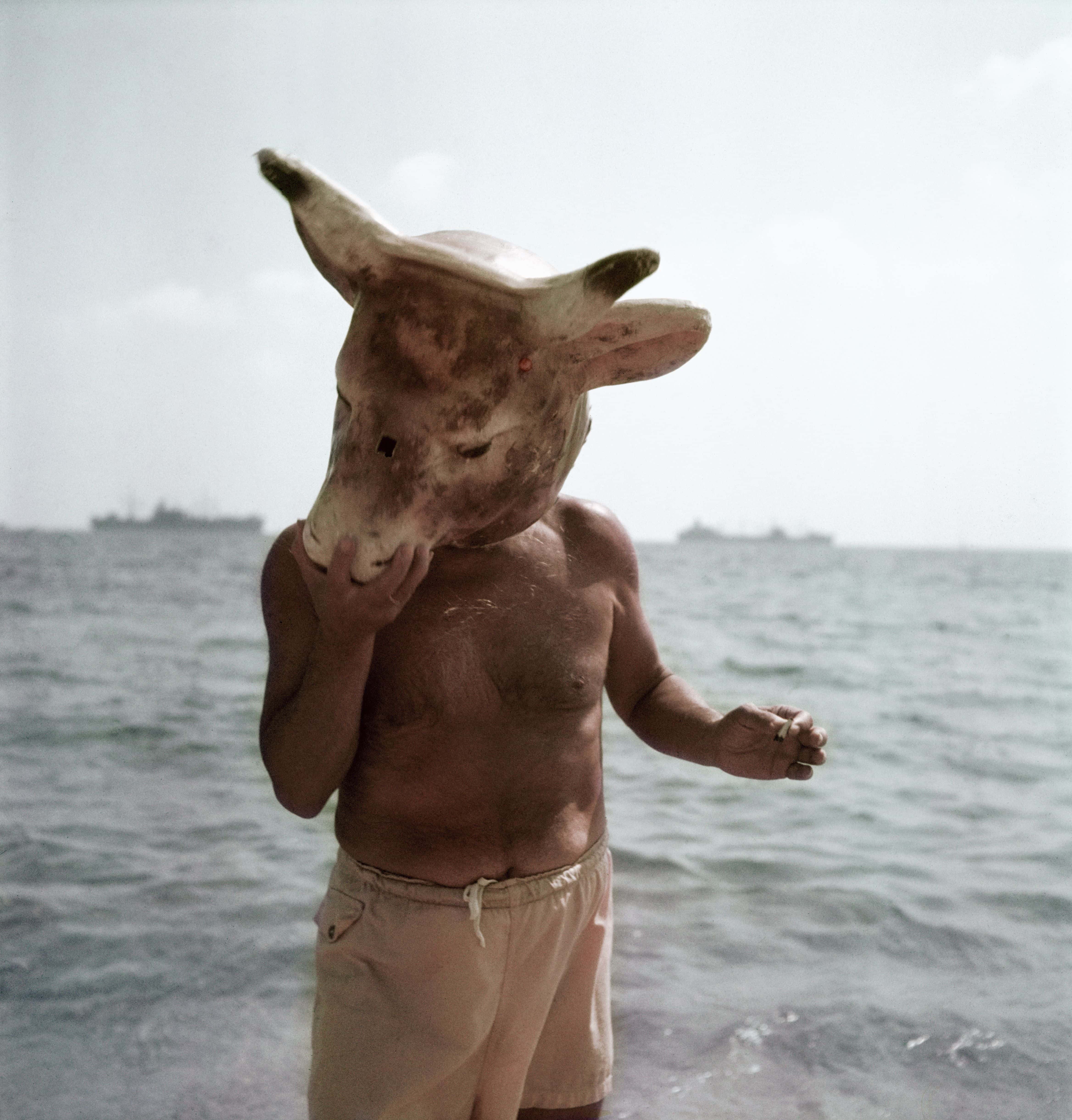 Pablo Picasso wearing a minotaur head mask | Gjon Mili, The LIFE Picture Collection, Shutterstock