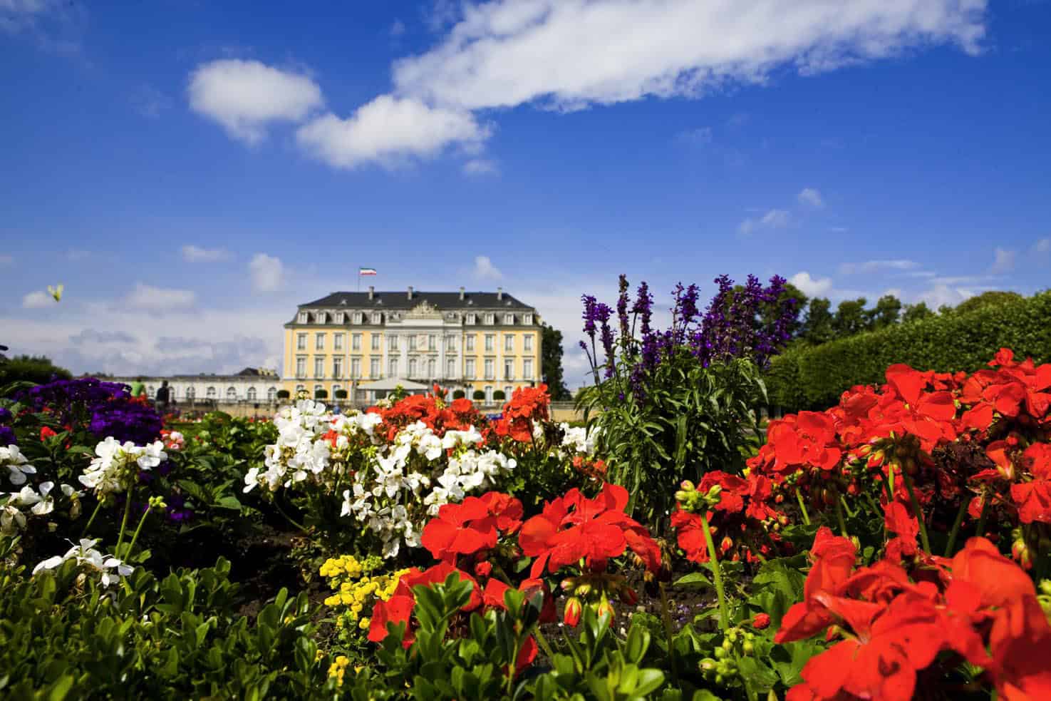 Schloss Augustusburg, Südseite Foto: Nikolai Wolff