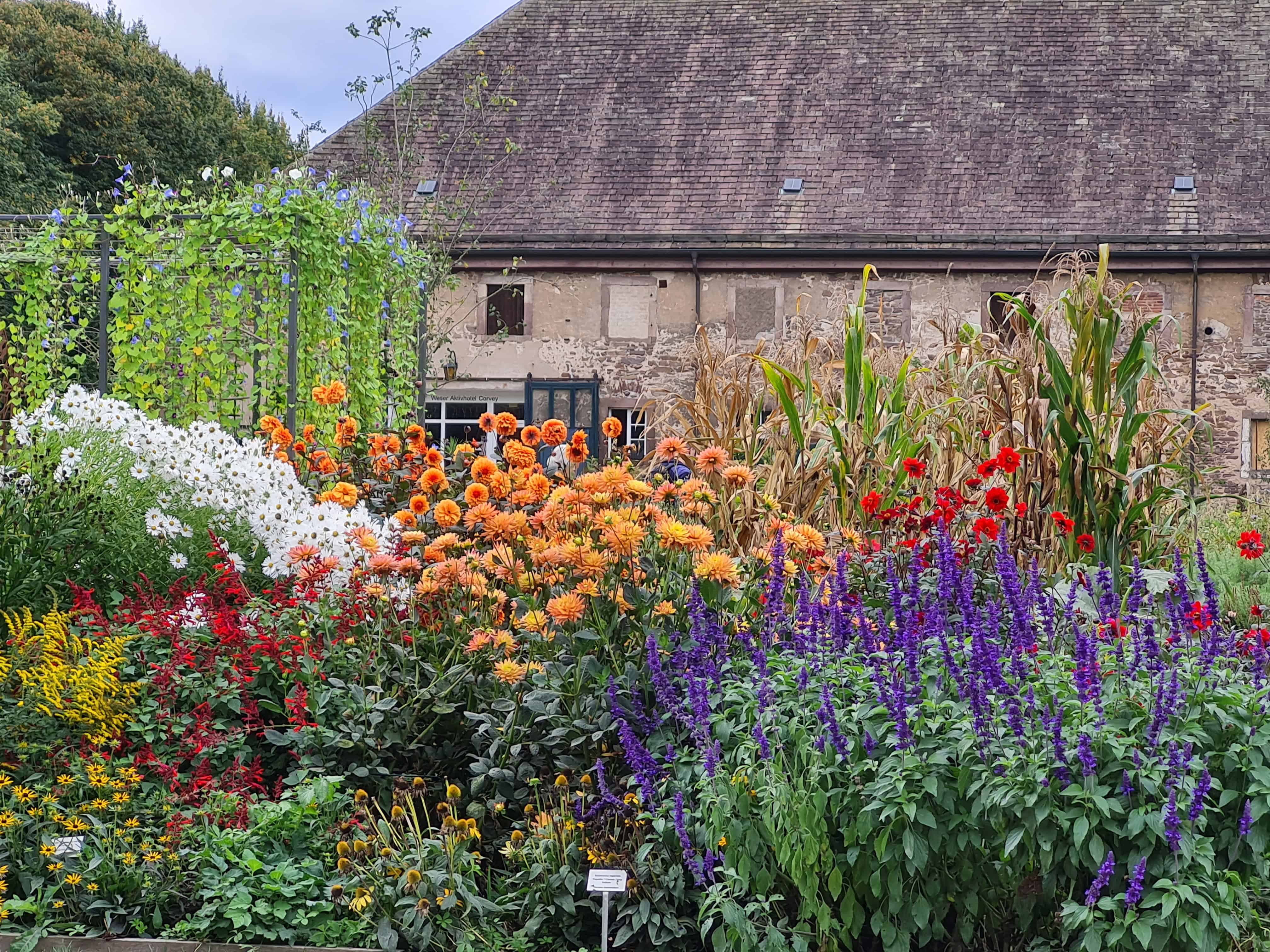 Remtergarten, Kulturkreis Höxter, Corvey