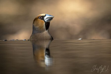 My Portfolios – Moments Captured in Images, Having a drink