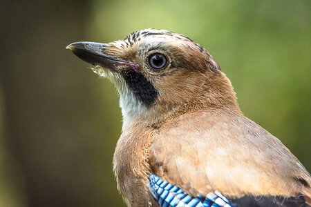 jay beautiful posing