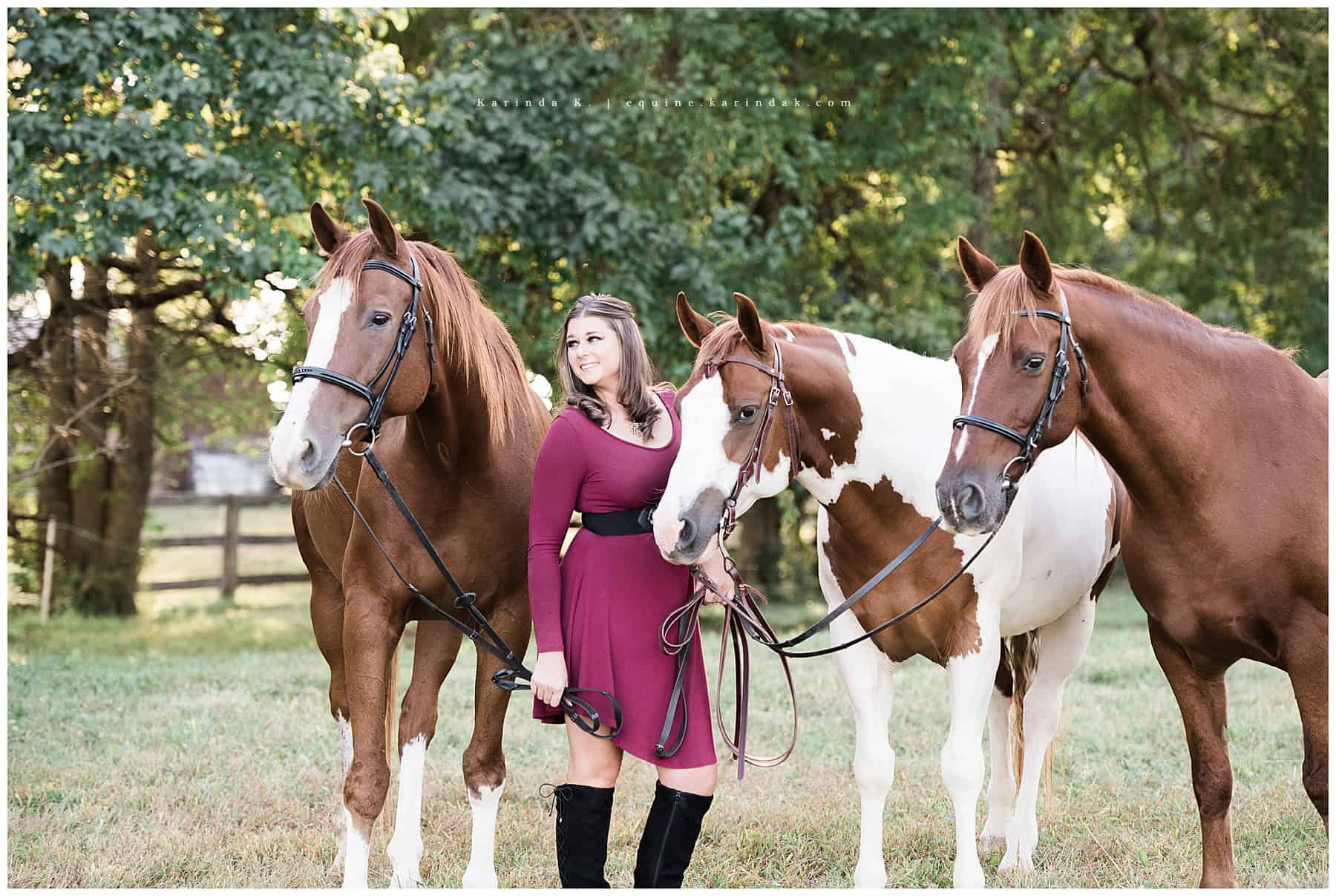 Ohio Equestrian Photographer Karinda K.
