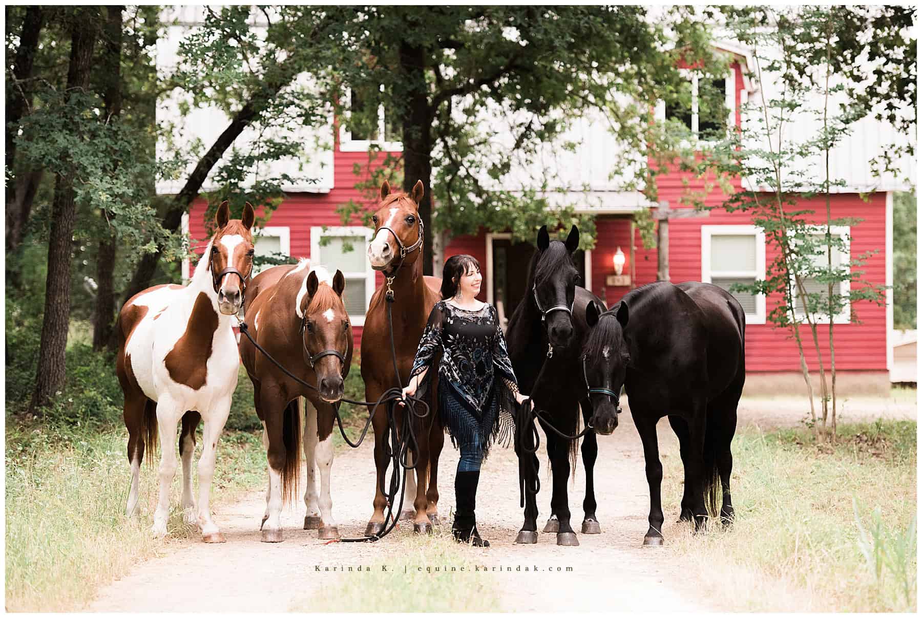 outdoor horse and rider portrait with 5 horses with barn in background bastrop, tx