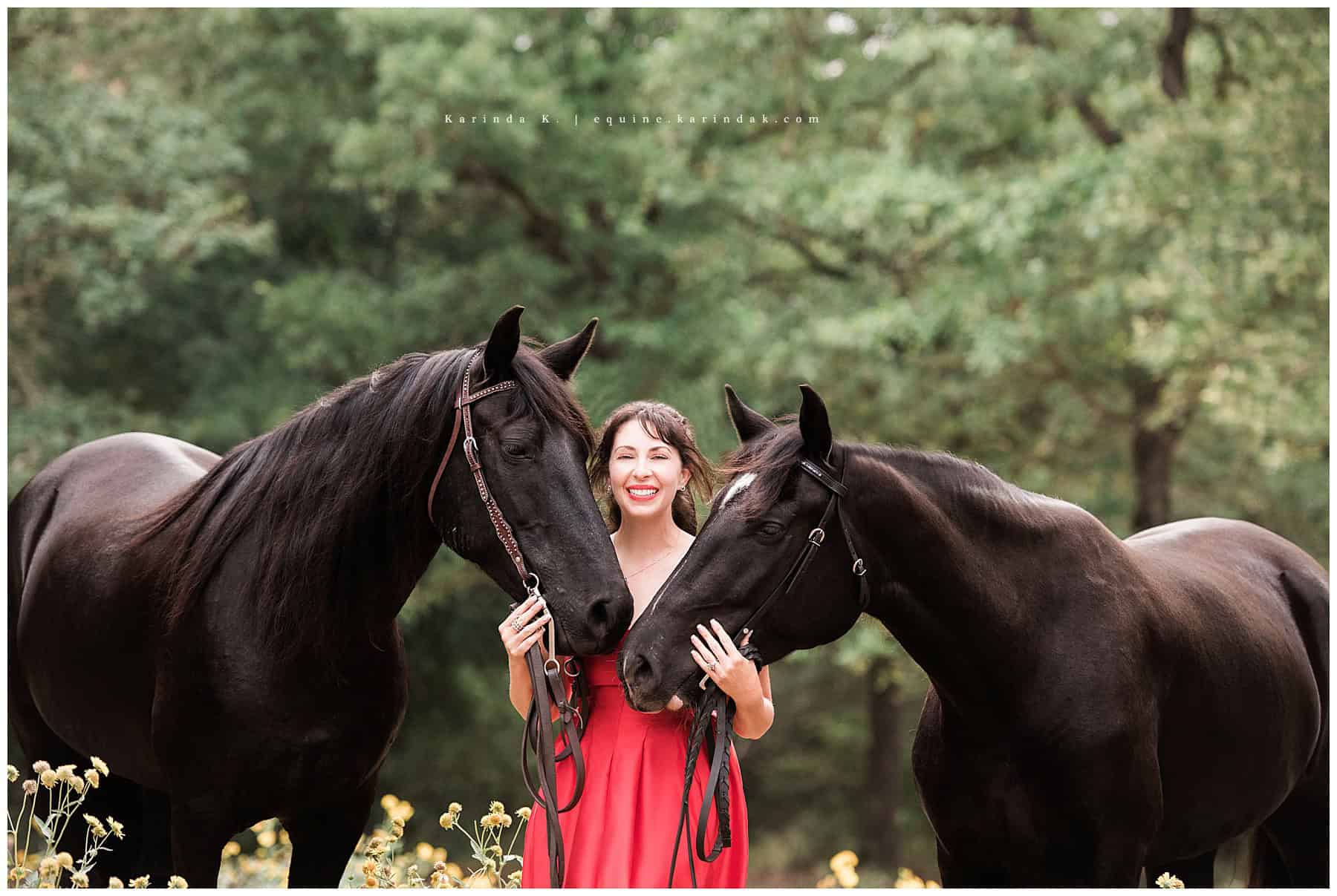 bastrop, tx equine photographer