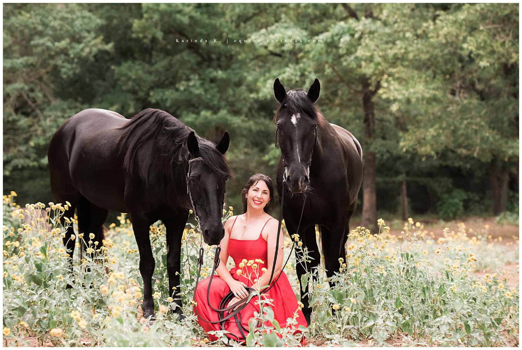 outdoor portraits black horse with rider kneeling in red dress