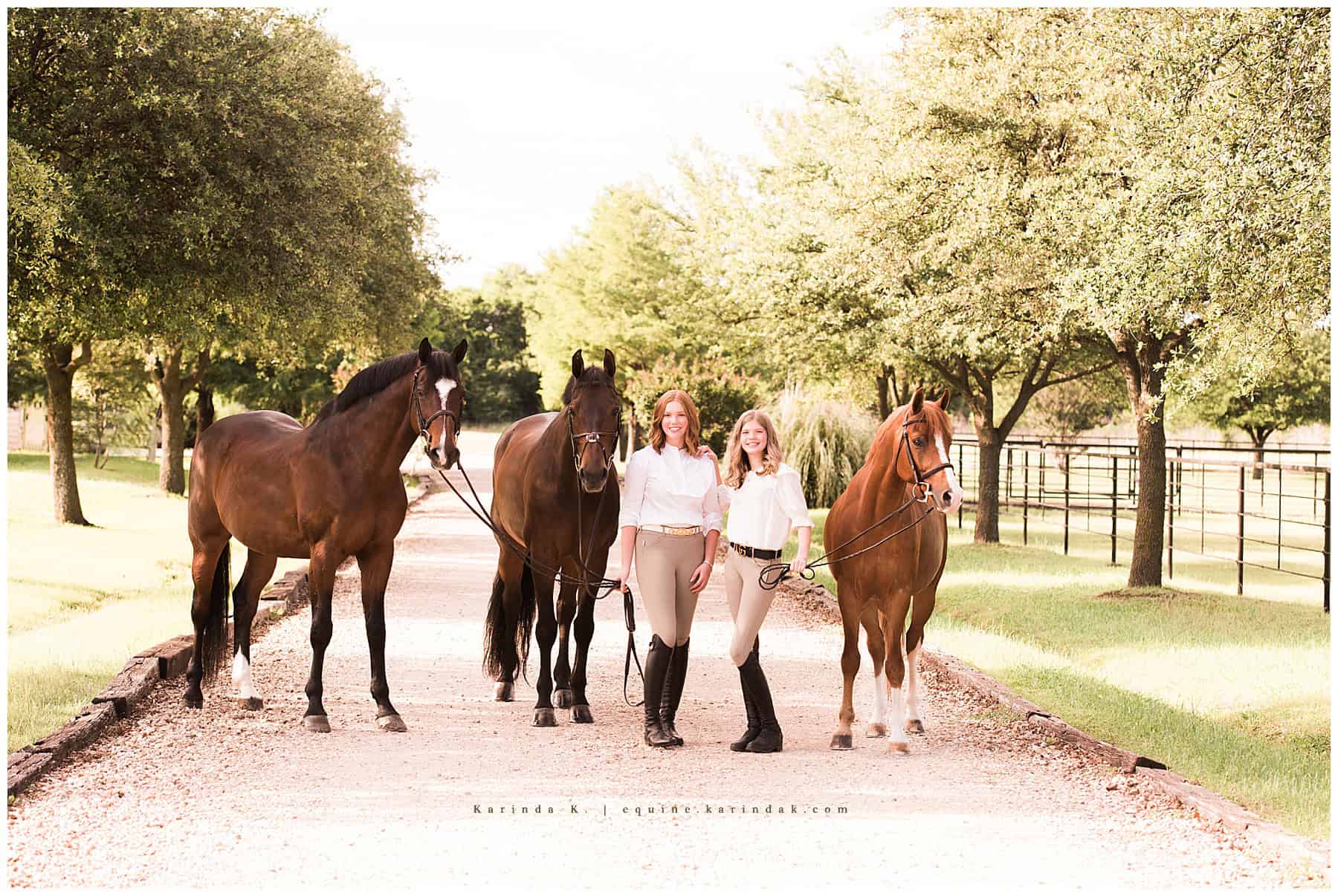 horse and rider portraits with multiple horses