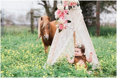 Native American Cake Smash 1 Year Session Houston with Horse