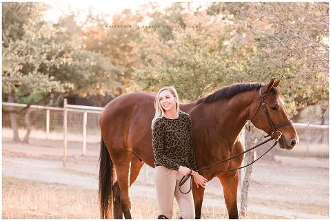 hunter jumper horse and rider portraits