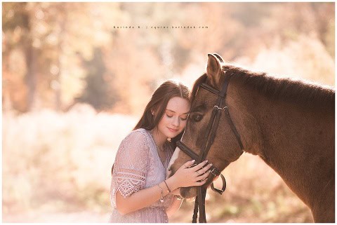 horse & rider portraits houston, tx