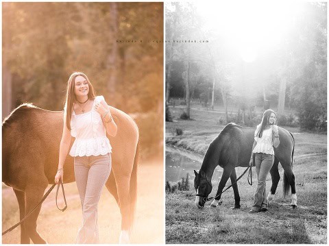 hunter jumper grand champion portraits