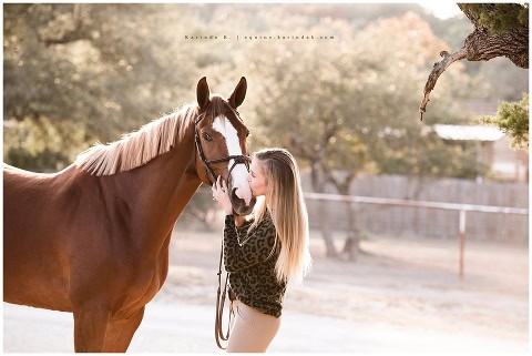 texas equine photographer