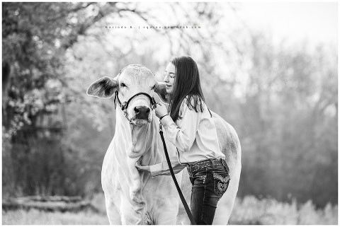 animal photographer houston, tx