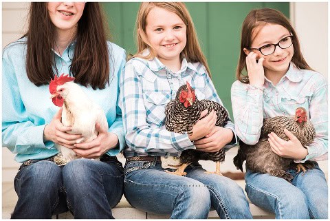 family portraits with fun ranch animals