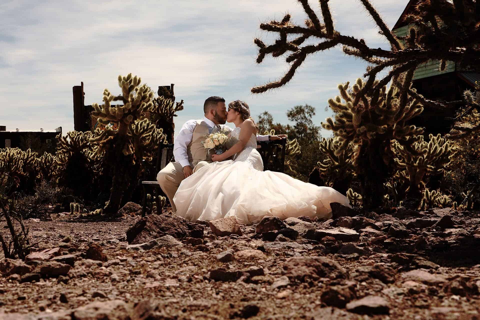 Cactus-and-Lace-Wedding