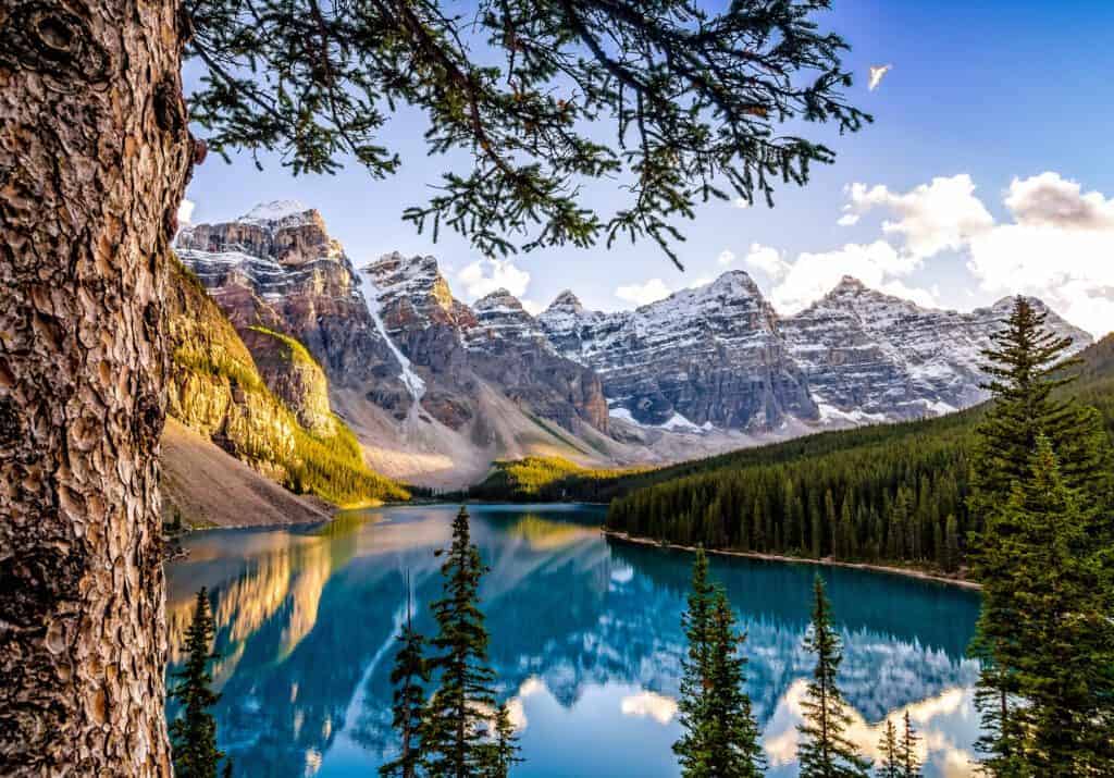 nature