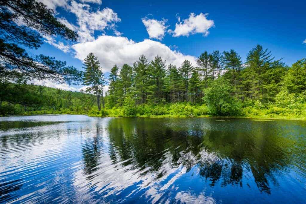Lake at Bear Brook State Park New Hampshire