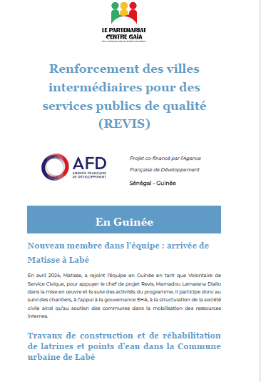 REVIS Newsletter n° 2