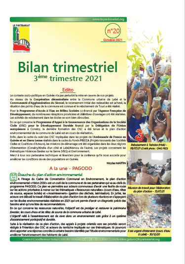Bilan guinée 2021 T3