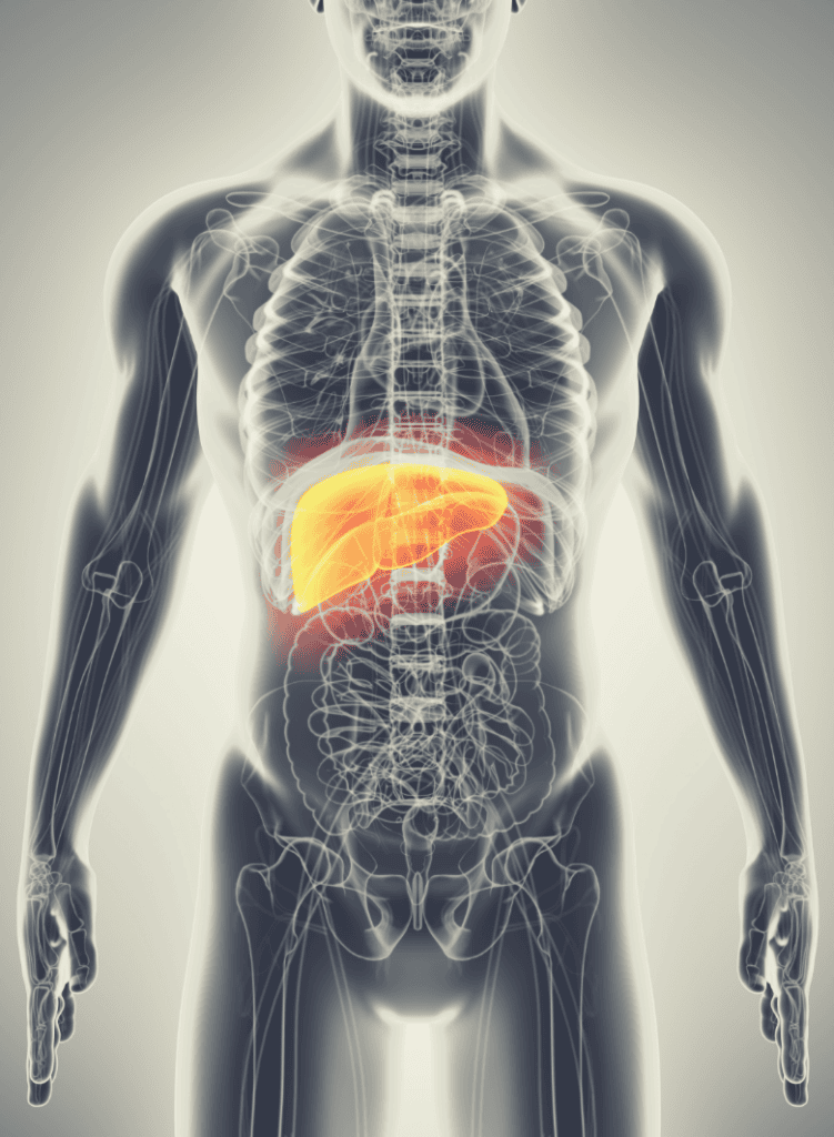 Kidney Punch and Other Highly Effective Organ Strikes - Humbler Challenger