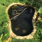 Small wildlife pond in September 2019