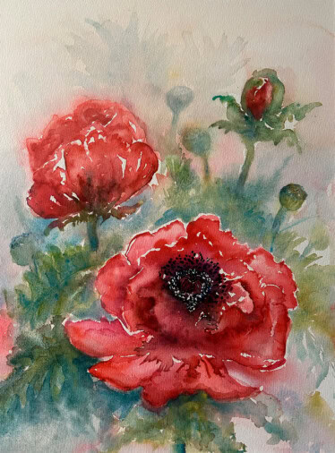 Papavers Papavers © Celine Van Ballaer