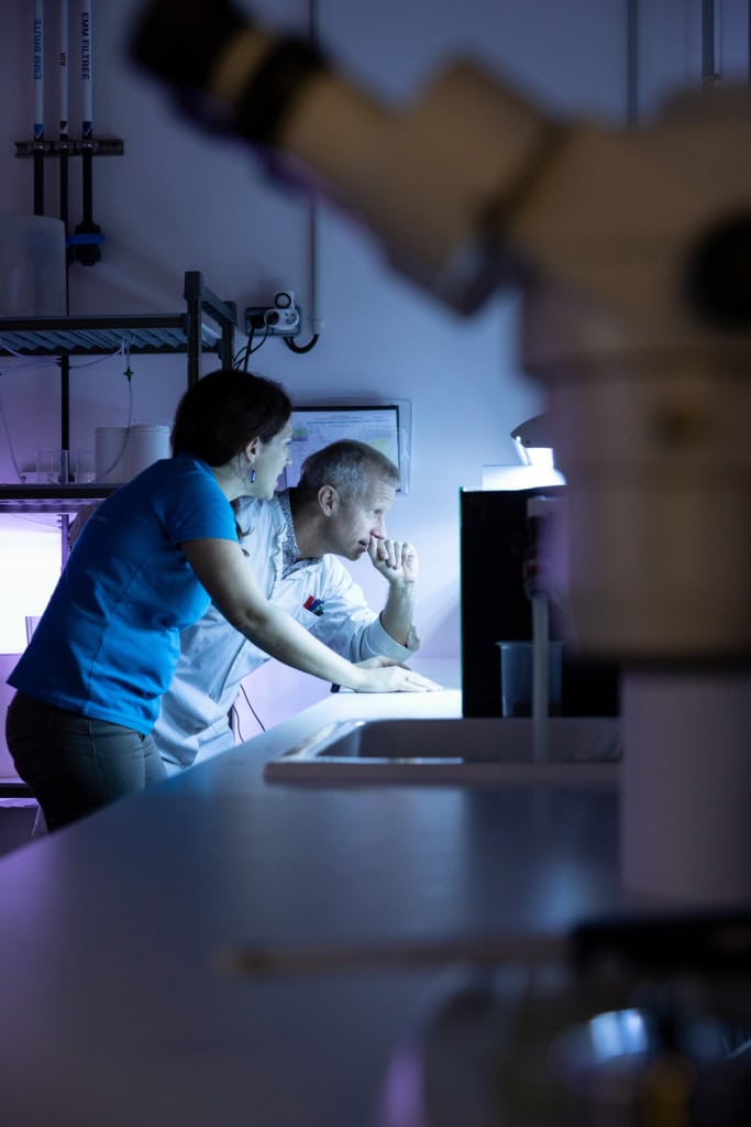 Reportage für das Terra Mater Magazin zum Thema Mikroplastik: Im Laboratoire d’Océanographie Microbienne in Banyuls-sur-Mer wird an plastikfressenden Mikroorganismen im Meer geforscht.