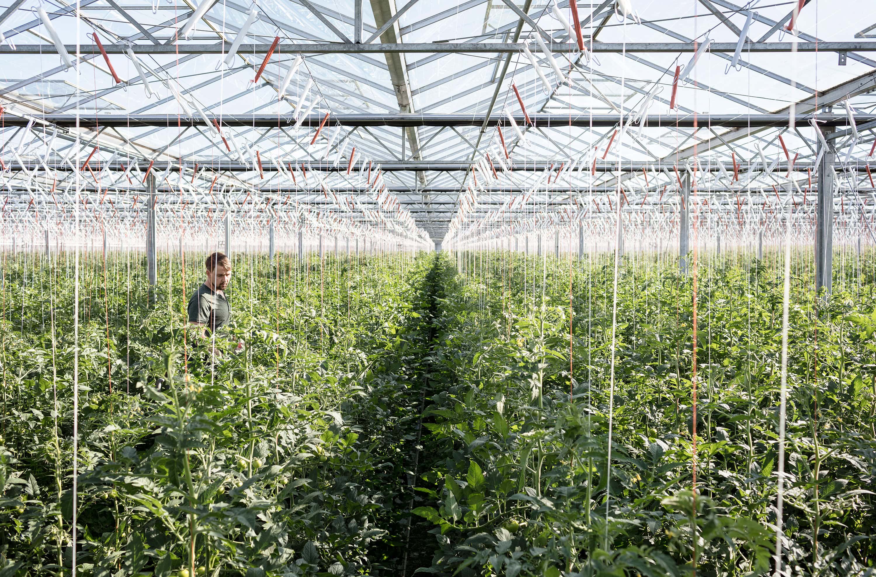 REWE Regional Testimonial Kampagne. Regionale Lieferanten und Landwirte mit ihren Produkten vor Ort, wo die Produkte herkommen