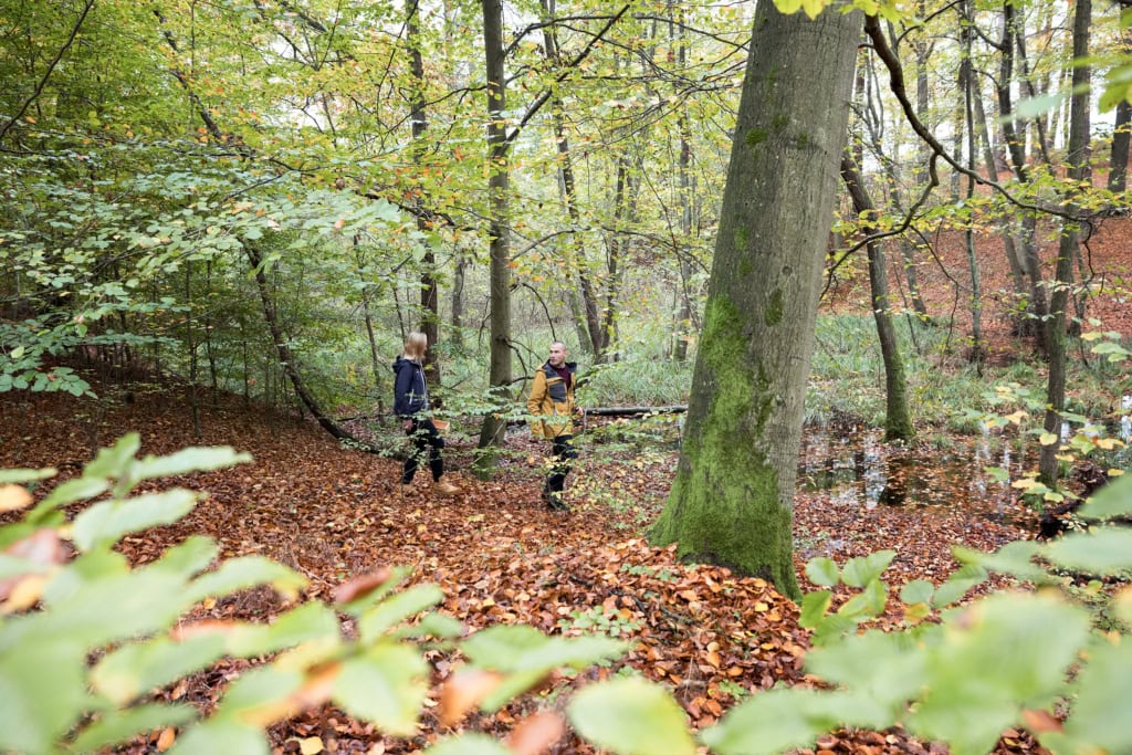 Smart Microadventure, Herbstausflug ins Berliner Umland mit den Travel Bloggern von Out Of Office und einem Smart Crosstown