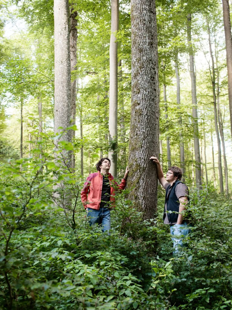 Holzski-Manufaktur auf der Schwäbischen Alb, eine Fotostrecke für das Mazda Magazin