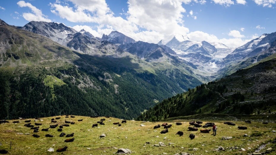 Trek Chamonix Zermatt