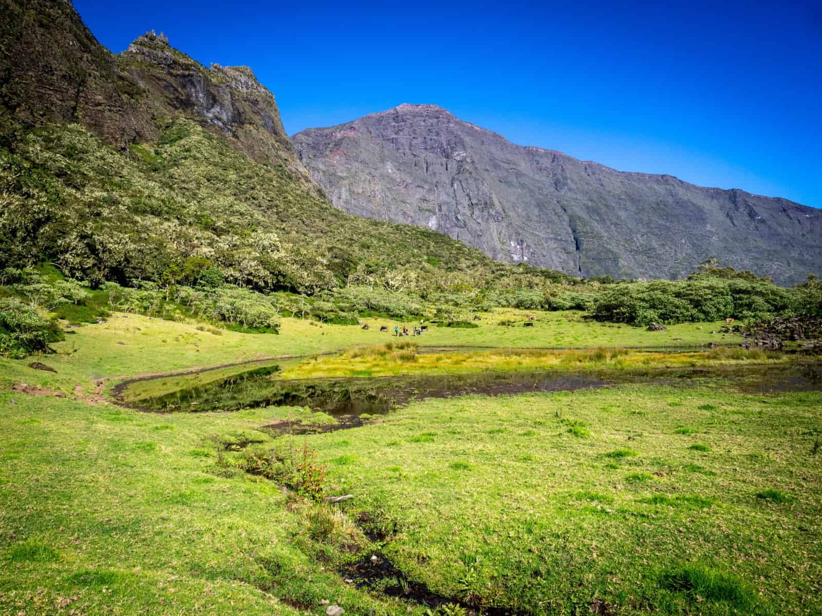 Kerval île de la Réunion