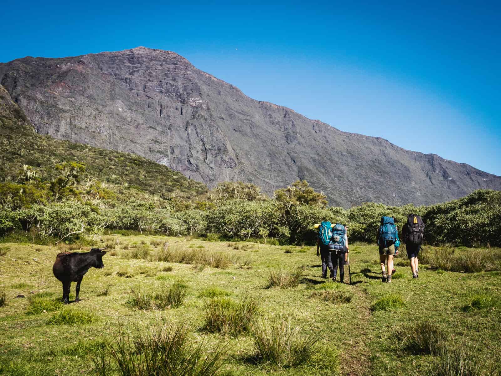 Plateau de Kerval Réunion