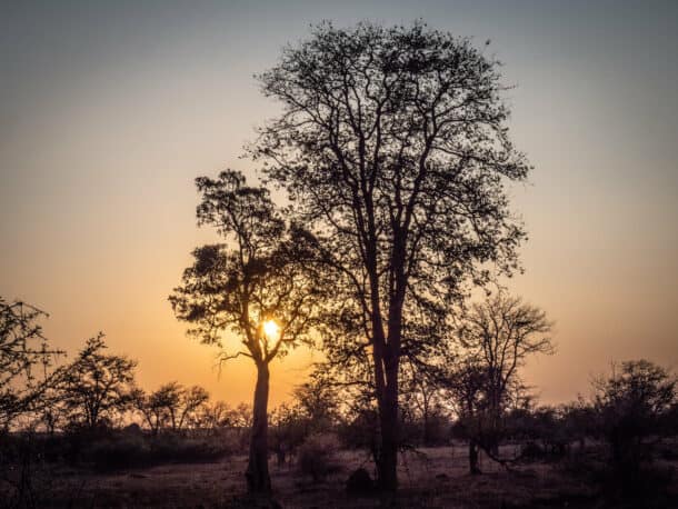 Itinéraire 3 semaines Afrique du Sud