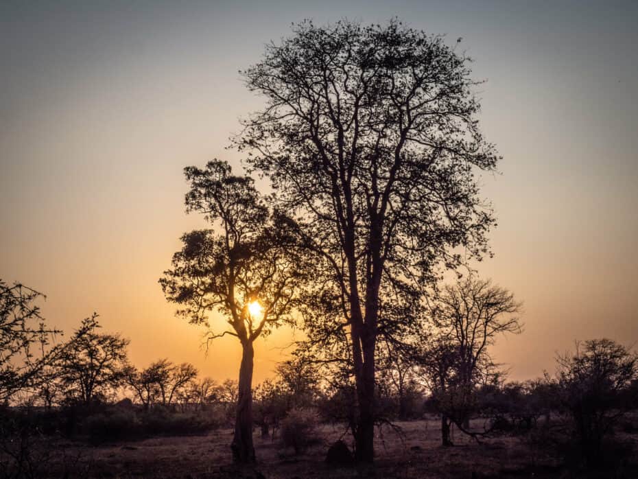 Itinéraire 3 semaines Afrique du Sud