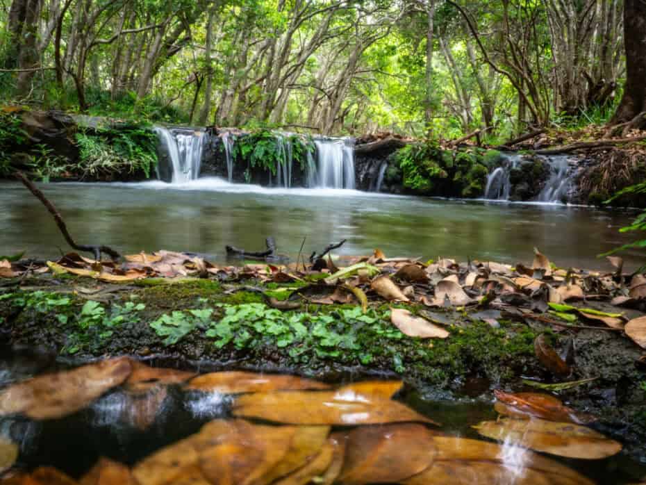 Itinéraire 3 semaines Afrique du Sud