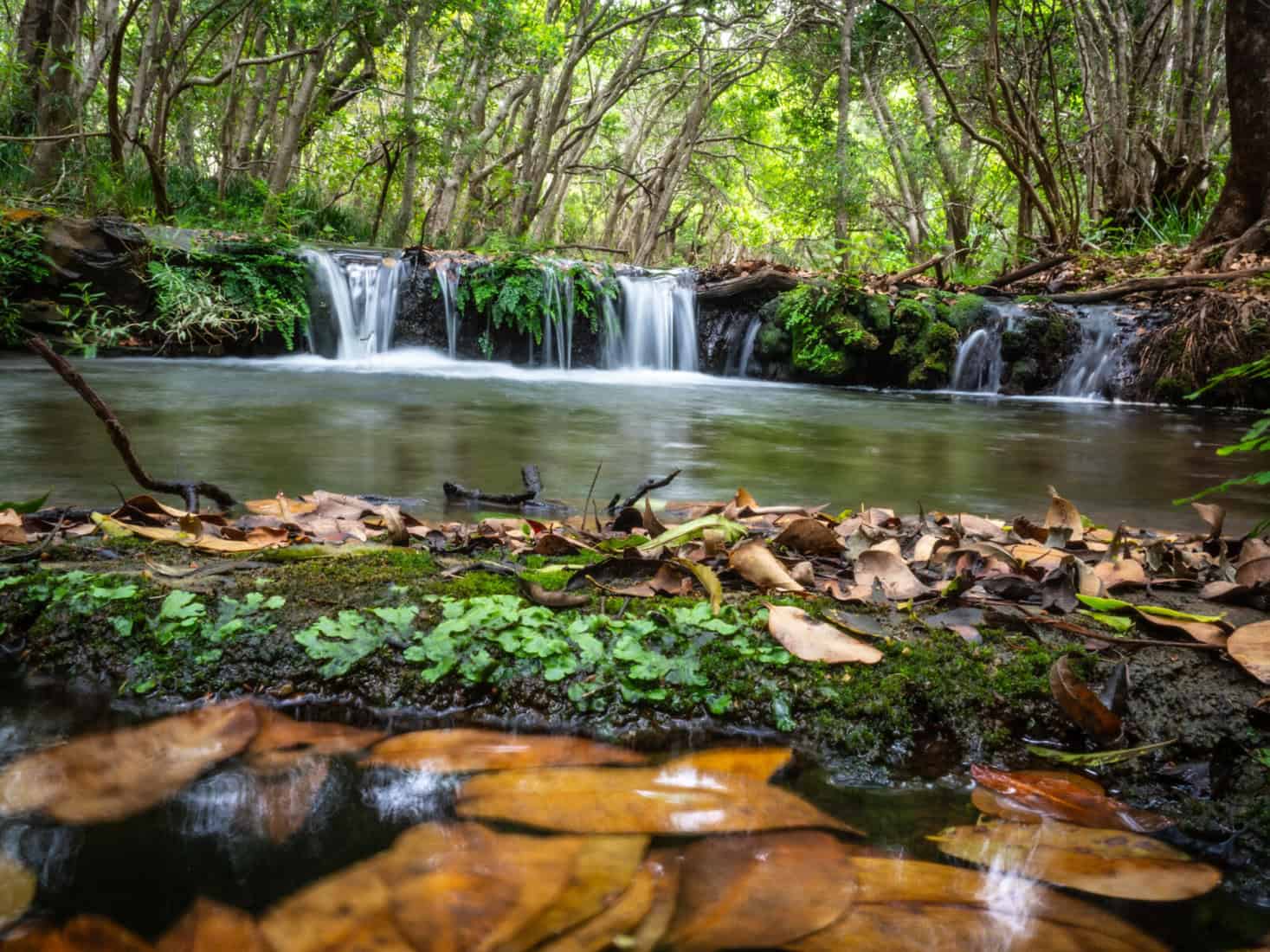 Séjour Afrique du Sud