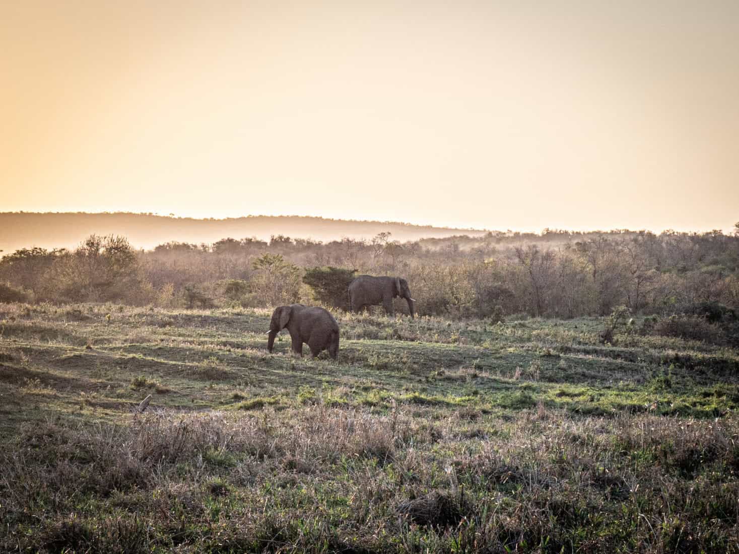 Itinéraire 3 semaines Afrique du Sud