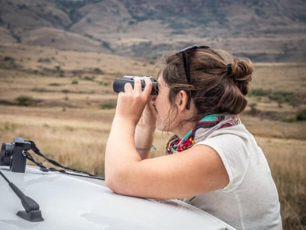 Que faire en Afrique du Sud