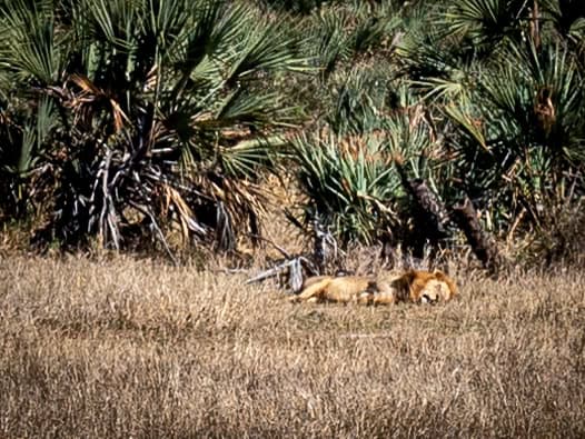 Itinéraire 3 semaines Afrique du Sud