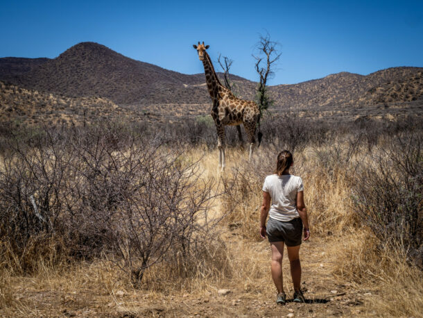 Namibie Itinéraire 2 semaines