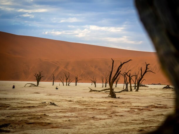 Itinéraire namibie 2 semaines