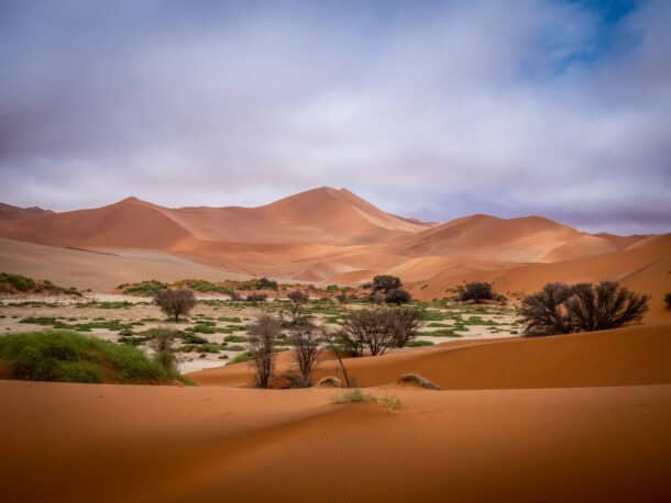 Itinéraire namibie 2 semaines